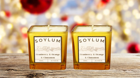 2 PACK - Sójová vonná svíčka - Cranberry, Orange & Cinnamon