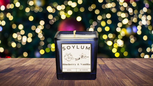 Sójová vonná svíčka - Blueberry & Vanilla